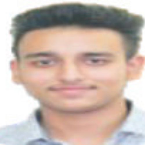 Kinshuk Attri IIT Ropar Student